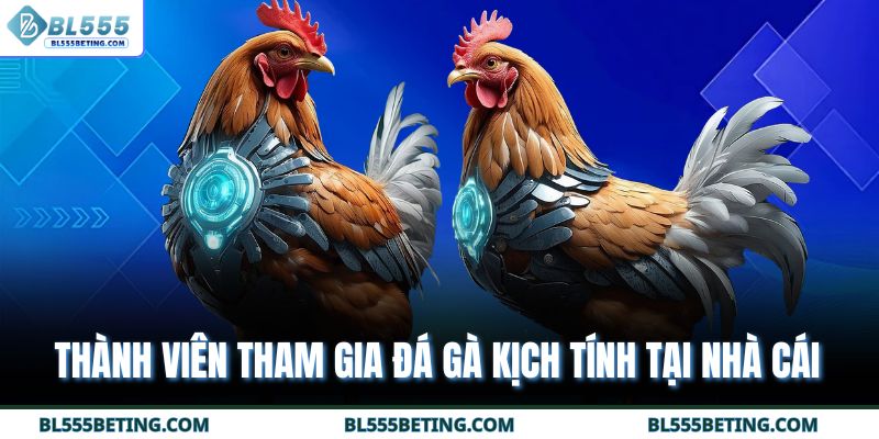 Thành viên tham gia đá gà kịch tính tại nhà cái